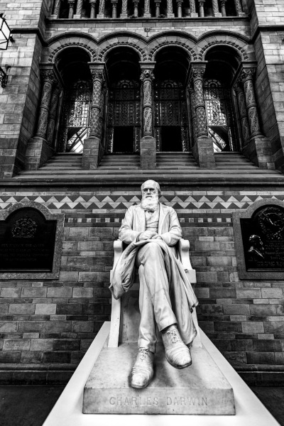 London Charles Darwin Statue